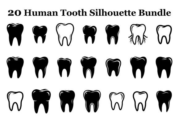 Human Tooth Dental Silhouette