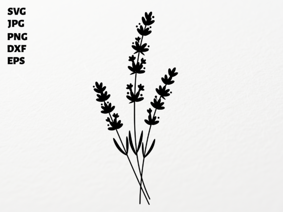Lavender SVG for Cricut Sublimation PN: Graphics & Crafts