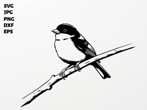 Perching Bird SVG for Cricut: A Graphic Asset for Crafts and Branding